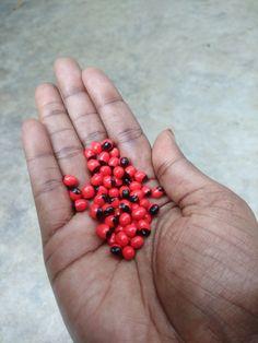 Astuces ou rituels magiques pour avoir l'argent rapidement en quelques jours